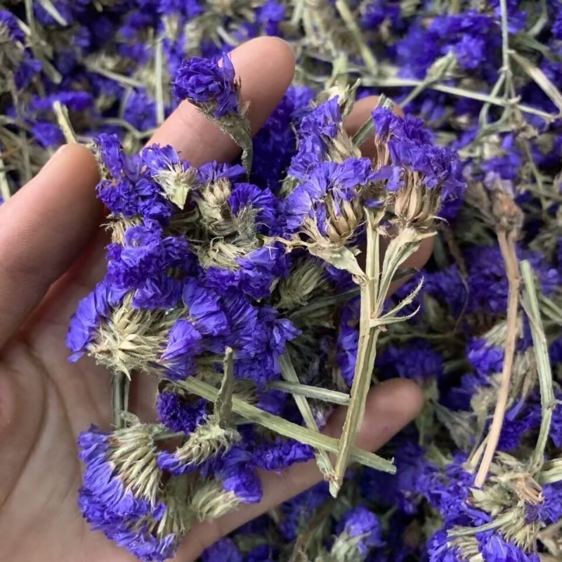 Top Natural Forget-me-not Drie - Soap Making In Home reseña y precio